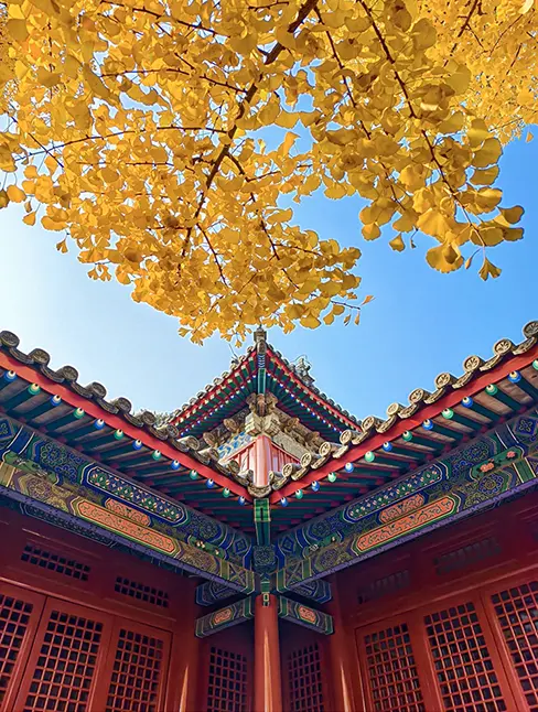 《赞佛偈》1（赞念佛古圣行）